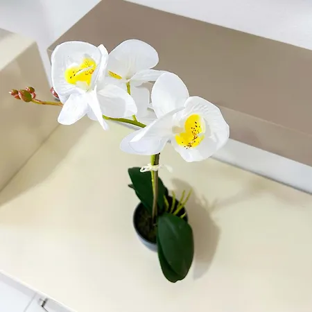 Apartament Villa Beach Golem (Tirana)